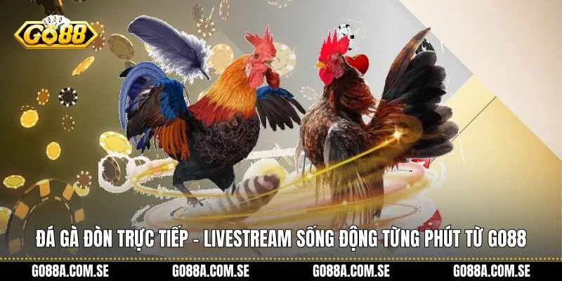 Đá gà đòn trực tiếp