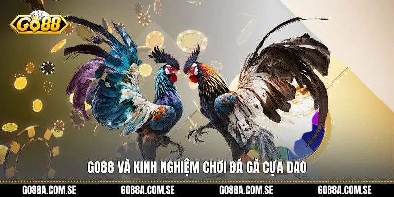 Go88 và kinh nghiệm chơi đá gà cựa dao
