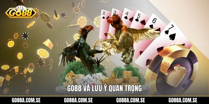 Go88 và lưu ý quan trọng