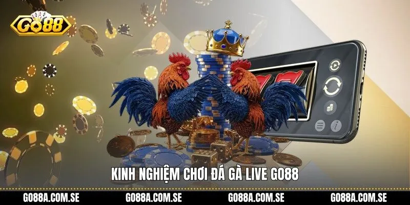 Kinh nghiệm chơi đá gà live Go88