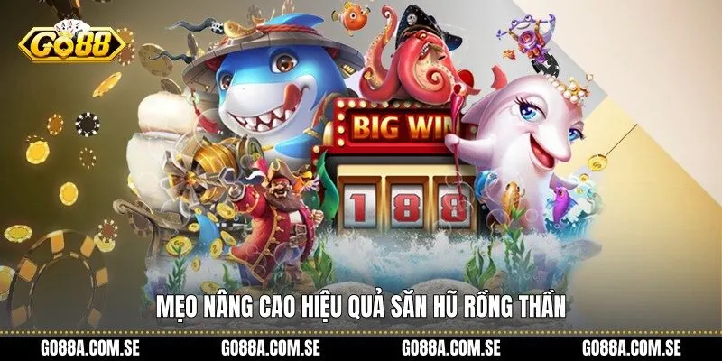 Mẹo nâng cao hiệu quả Săn Hũ Rồng Thần