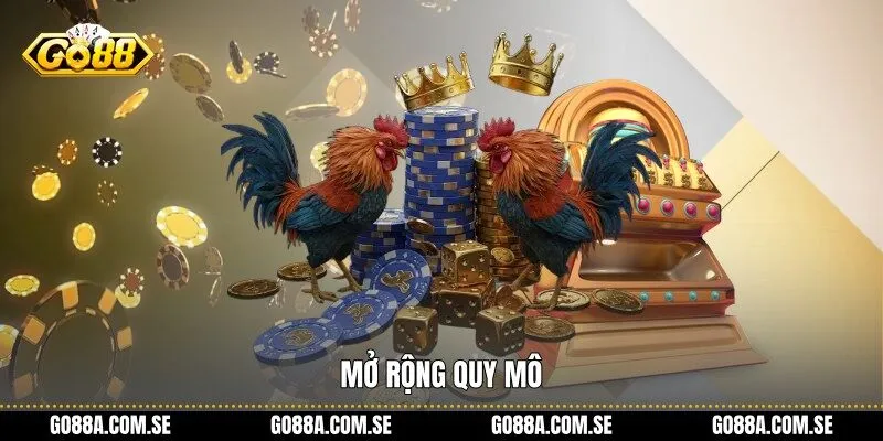 Mở rộng quy mô