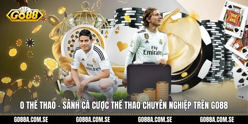 O Thể Thao