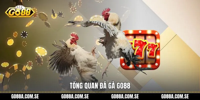 Tổng quan Đá Gà Go88